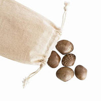 Tactile Shells 36pce