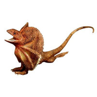 Oz Animal Figurines - Set A