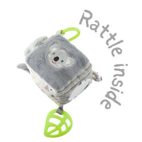 Snuggle Buddy Koala Discovery Cube