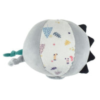 Snuggle Buddy - Kuddly Koala Textured Ball