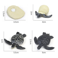 Life Cycle Figurines & Cards Set - Turtle