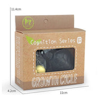 Life Cycle Figurines & Cards Set - Turtle