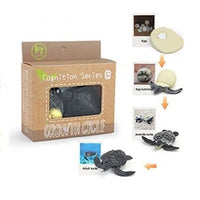 Life Cycle Figurines & Cards Set - Turtle