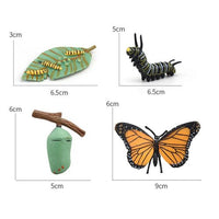 Life Cycle Figurines & Cards Set - Butterfly