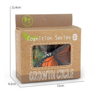 Life Cycle Figurines & Cards Set - Butterfly