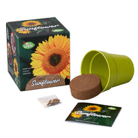 Grow Your Own Sunflower