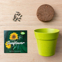 Grow Your Own Sunflower