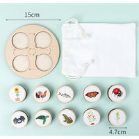 Life Cycle Discs Display Board - 10 Sets