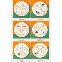 Life Cycle Discs Display Board - 10 Sets