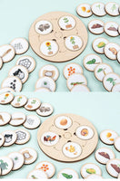 Life Cycle Discs Display Board - 10 Sets
