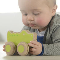 Push Along Alligator - Masterkidz