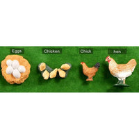 Life Cycle Figurines - Chicken