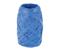 Paper Rafia Assorted Colours (10)