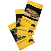 
              Frog ID Snap Cards
            