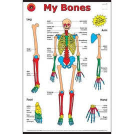 Chart - My Bones