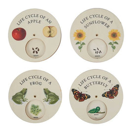 Life Cycle Discs - Set of 4