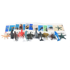 Card & Figurines Match - 12 Pairs - Marine Animals