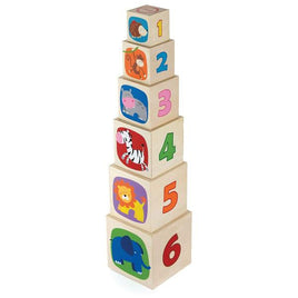 Wooden Nesting & Stacking Blocks