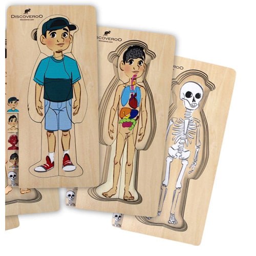 Discoveroo - 5 Layer Body Puzzle - Boy| Ozzy Educational Toys