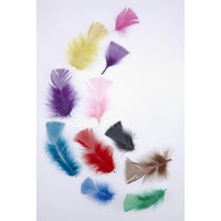 
              Feathers - Tropical Colours 20gram
            
