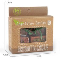 
              Life Cycle Figurines & Cards Set - Bean
            