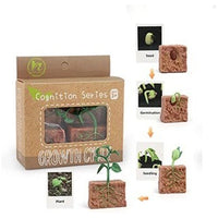 
              Life Cycle Figurines & Cards Set - Bean
            
