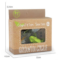 
              Life Cycle Figurines & Cards Set - Frog
            