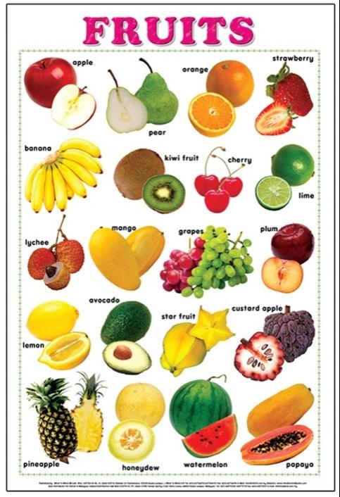 Fruit & Vegetable Wall Poster Pack (2)| Ozzy Educational Toys