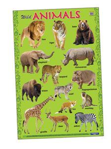 Wild Animal Wall Poster