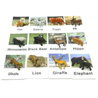 
              Card & Figurines Match - 12 Pairs - Wild Animals
            