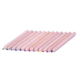 Small Coloured Pencil 12 Pack - with pencil sharpener