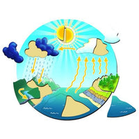 
              Water Cycle - Puzzle
            